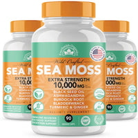 Sea Moss & Black Seed Oil Capsules (90-Count)