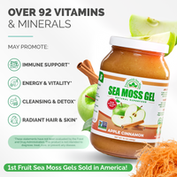 Apple Cinnamon Sea Moss Gel (16 Ounce)