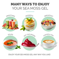 Elderberry Sea Moss Gel (16 Ounce)