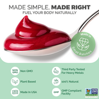 Elderberry Sea Moss Gel (16 Ounce)