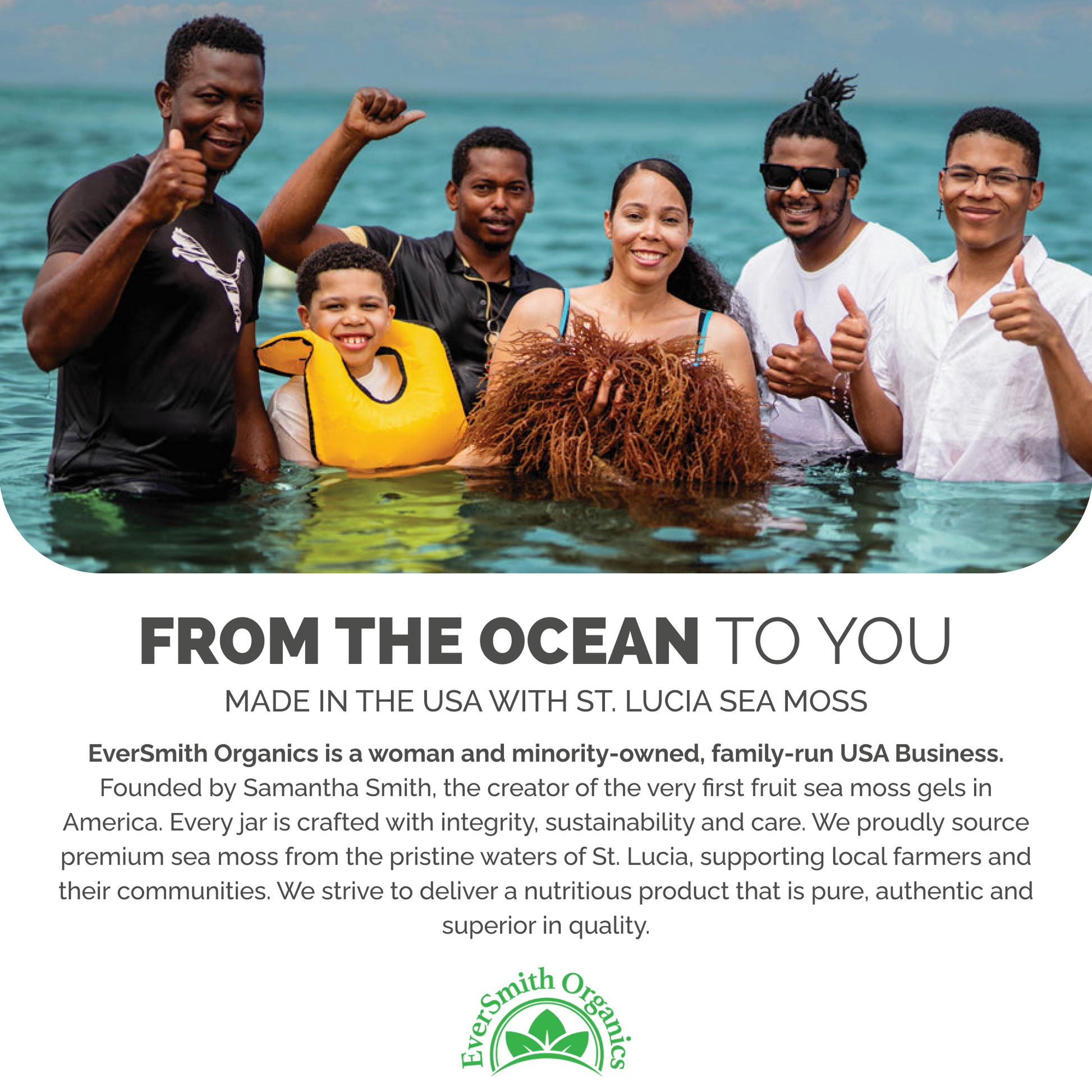 Elderberry Sea Moss Gel (16 Ounce)