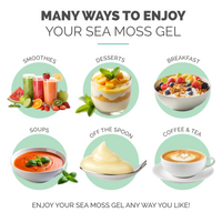 Value Packs - Unflavored Golden Sea Moss Gel (16 Ounce)