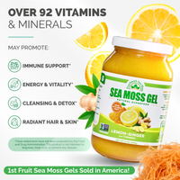 Lemon Ginger Sea Moss Gel + Turmeric (16 Ounce)