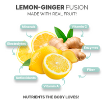 Lemon Ginger Sea Moss Gel + Turmeric (16 Ounce)