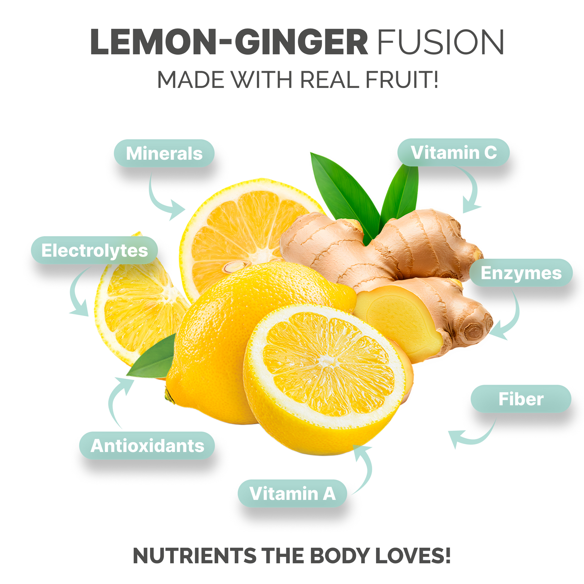 Lemon Ginger Sea Moss Gel + Turmeric (16 Ounce)