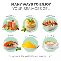 Lemon Ginger Sea Moss Gel + Turmeric (16 Ounce)