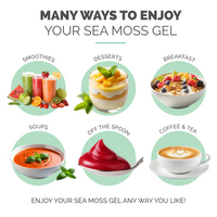 Mixed Berry Sea Moss Gel (16 Ounce)