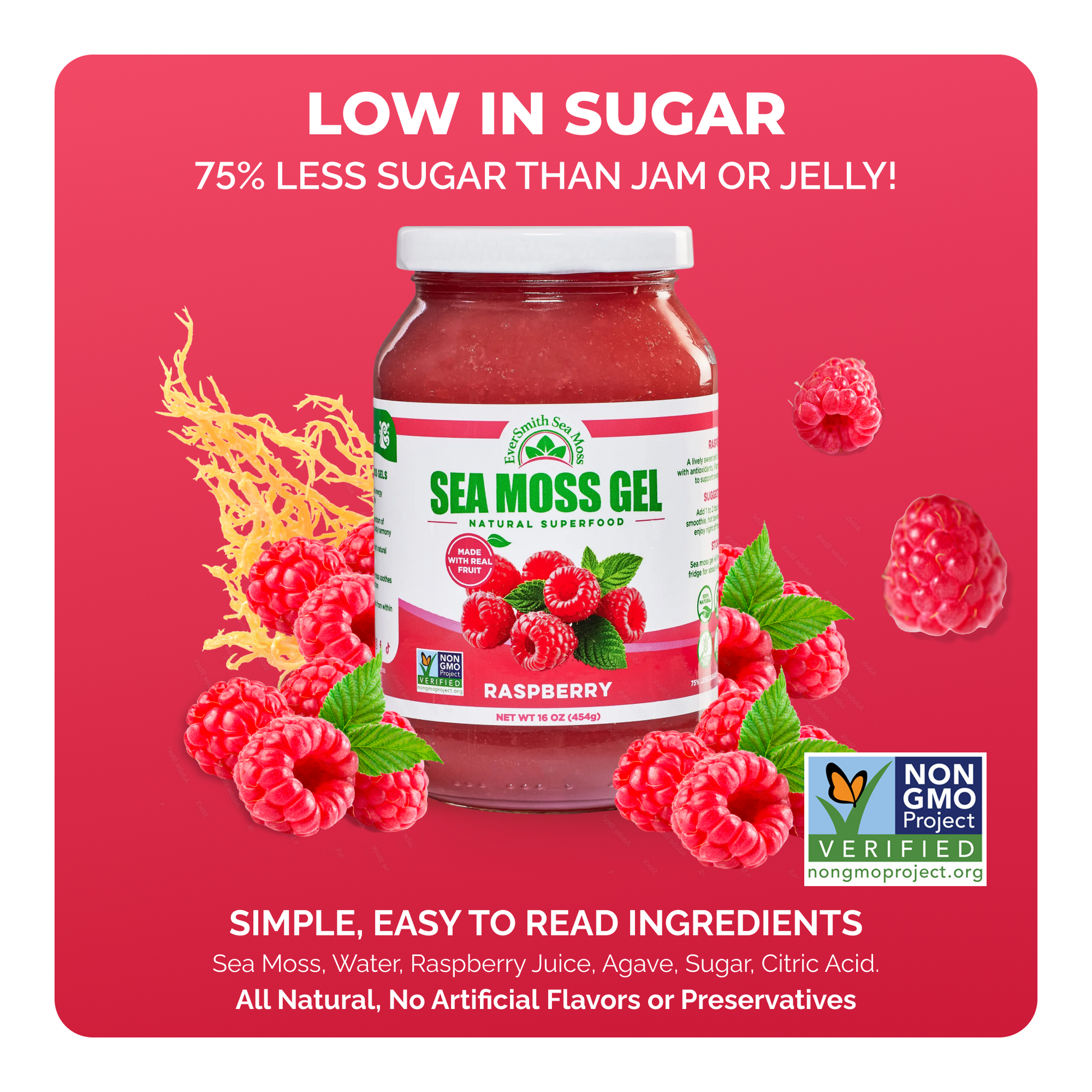 Raspberry Sea Moss Gel (16 Ounce)