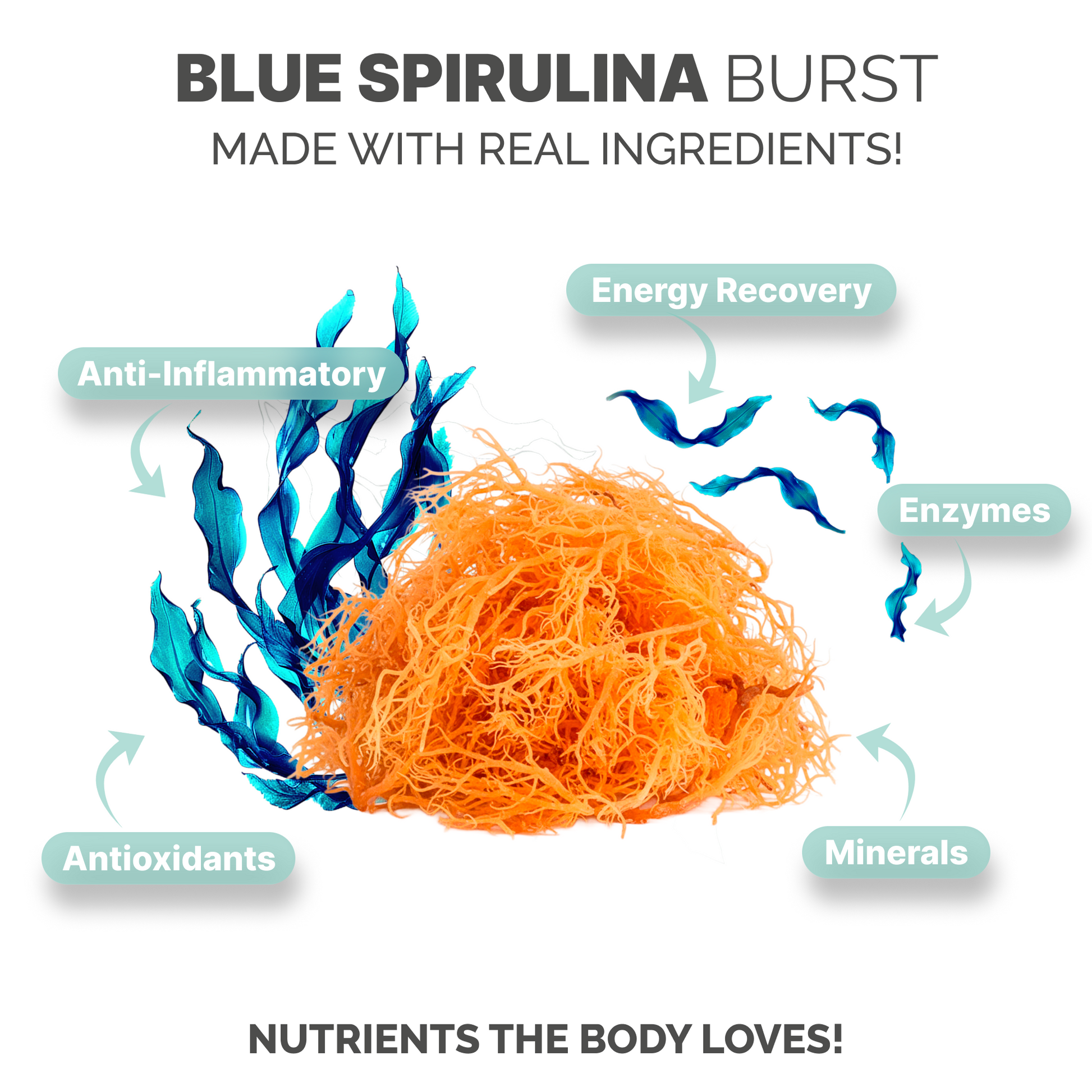 Blue Spirulina Sea Moss Gel (16 Ounce)