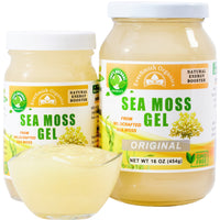 Golden Sea Moss Gel - Wildcrafted (16 Ounce)