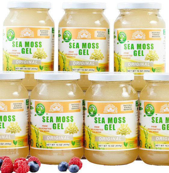 Value Packs - Unflavored Golden Sea Moss Gel (16 Ounce