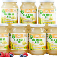 Value Packs - Unflavored Golden Sea Moss Gel (16 Ounce)