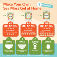 Sea Moss Bag Infographics