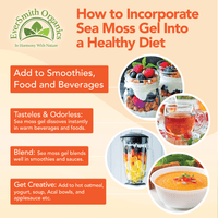 Sea Moss Bag Infographics