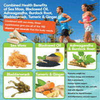 3 PACK - SEA MOSS & BLACK SEED OIL CAPSULES (90-COUNT)